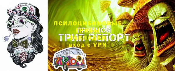 бошки Рославль