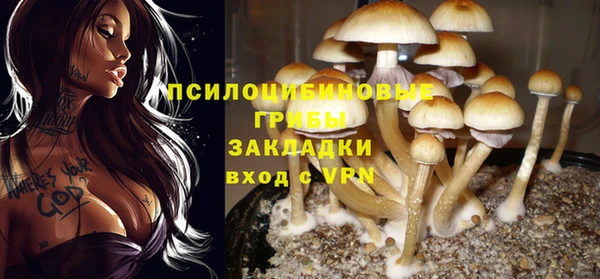 МДПВ Арсеньев