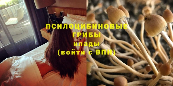 бошки Рославль