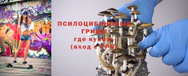 МДПВ Арсеньев