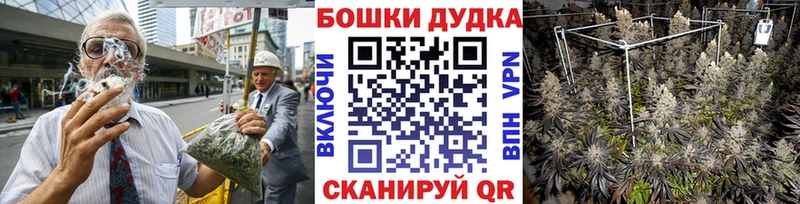 сколько стоит  Нязепетровск  Бошки марихуана сатива 